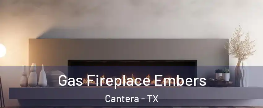 Gas Fireplace Embers Cantera - TX