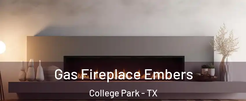 Gas Fireplace Embers College Park - TX