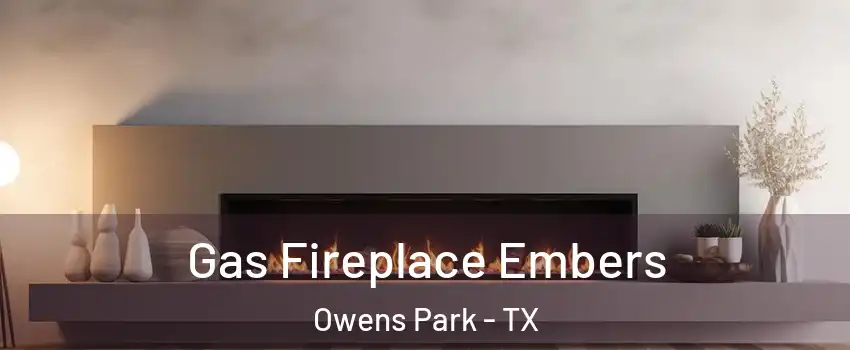 Gas Fireplace Embers Owens Park - TX