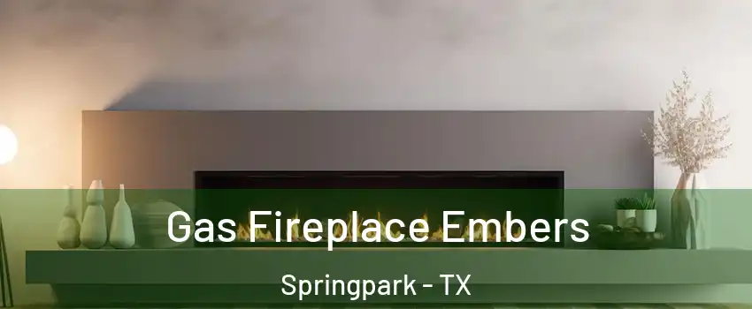 Gas Fireplace Embers Springpark - TX
