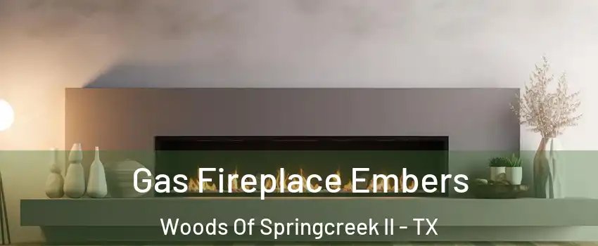 Gas Fireplace Embers Woods Of Springcreek II - TX