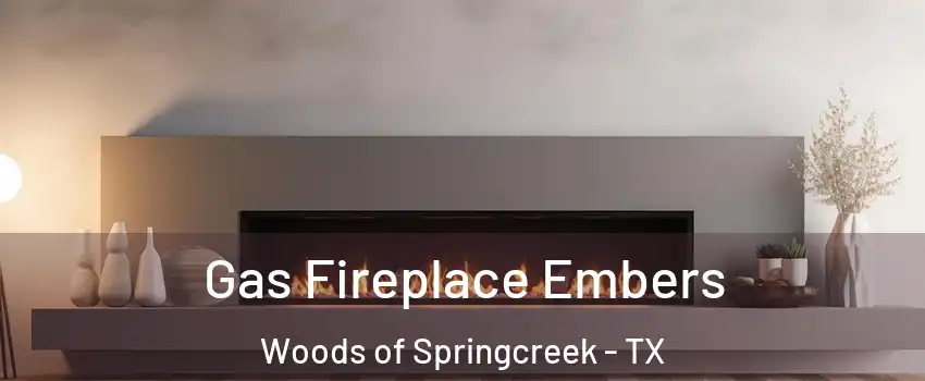 Gas Fireplace Embers Woods of Springcreek - TX