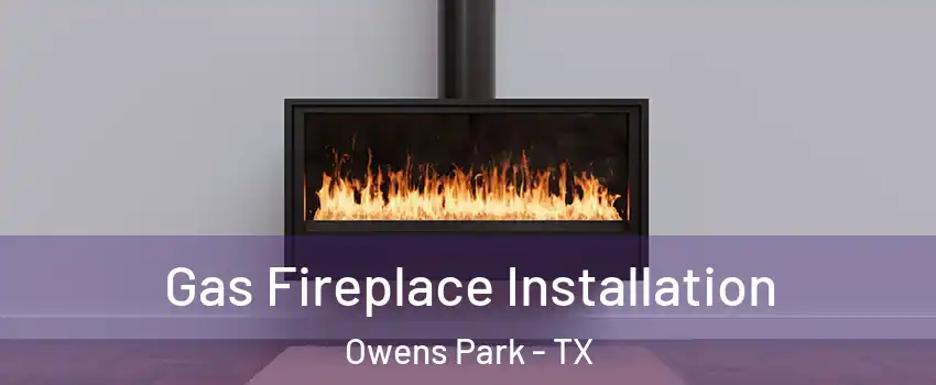 Gas Fireplace Installation Owens Park - TX
