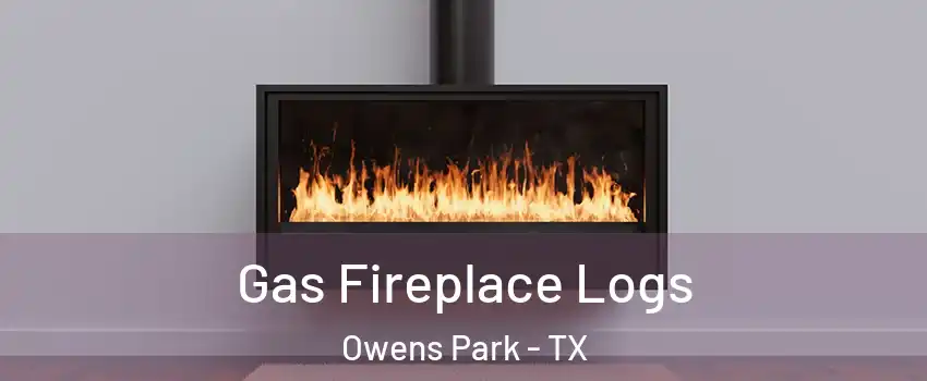 Gas Fireplace Logs Owens Park - TX