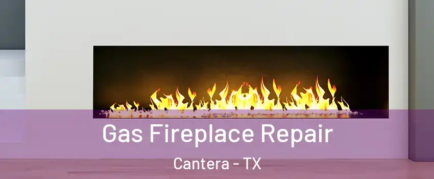 Gas Fireplace Repair Cantera - TX