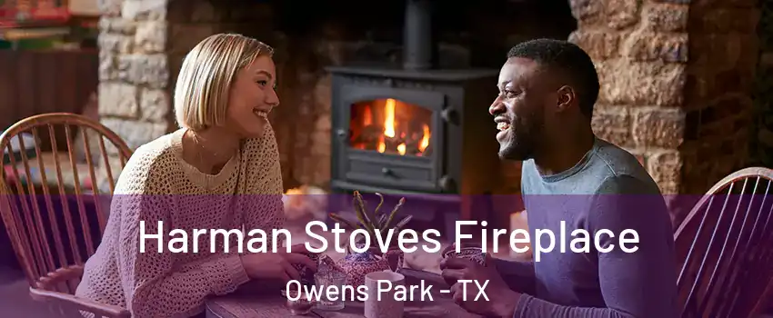 Harman Stoves Fireplace Owens Park - TX
