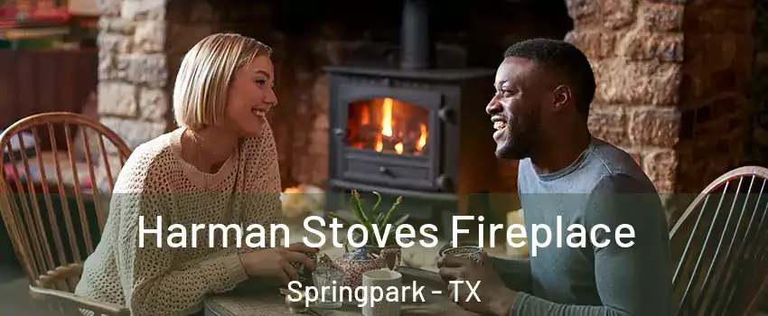 Harman Stoves Fireplace Springpark - TX