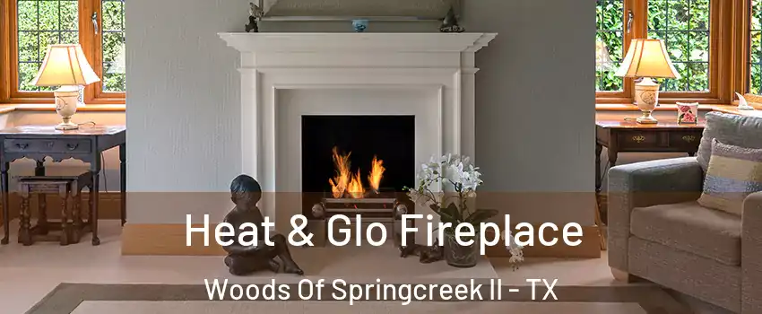 Heat & Glo Fireplace Woods Of Springcreek II - TX