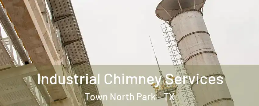 Industrial Chimney Services Town North Park - TX