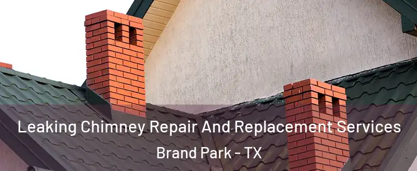 Leaking Chimney Repair And Replacement Services Brand Park - TX