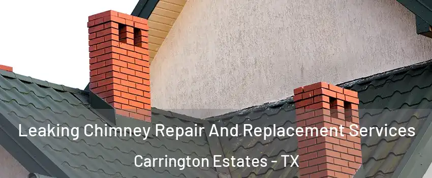 Leaking Chimney Repair And Replacement Services Carrington Estates - TX