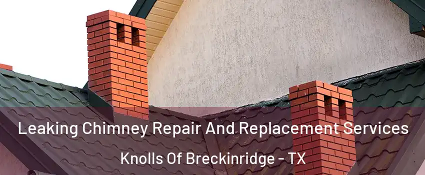 Leaking Chimney Repair And Replacement Services Knolls Of Breckinridge - TX