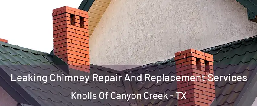 Leaking Chimney Repair And Replacement Services Knolls Of Canyon Creek - TX