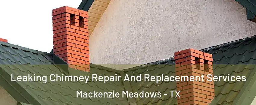 Leaking Chimney Repair And Replacement Services Mackenzie Meadows - TX