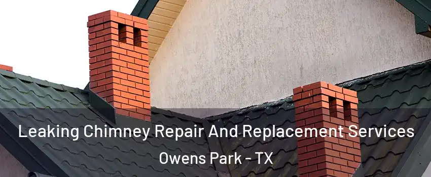 Leaking Chimney Repair And Replacement Services Owens Park - TX