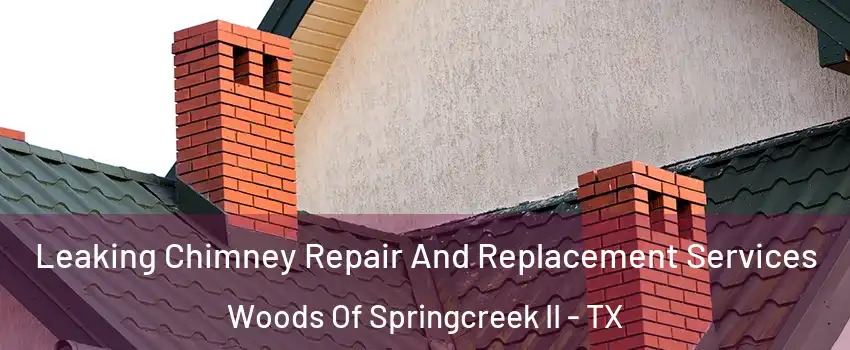 Leaking Chimney Repair And Replacement Services Woods Of Springcreek II - TX