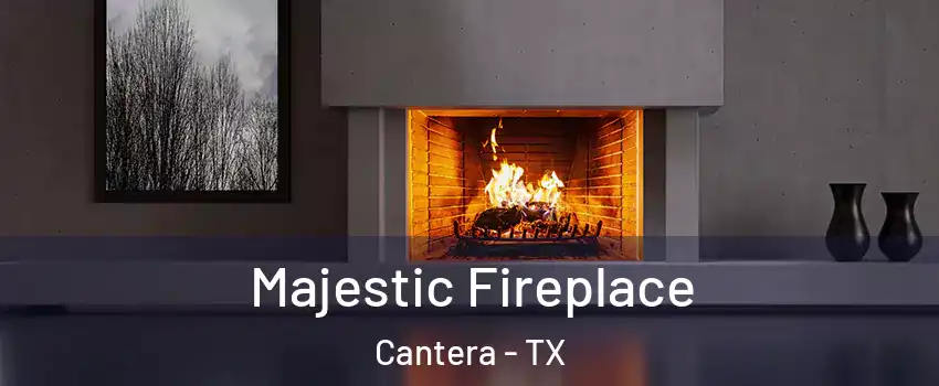 Majestic Fireplace Cantera - TX