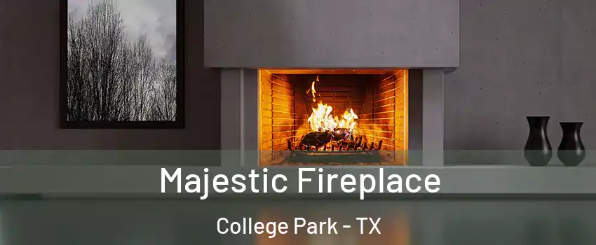 Majestic Fireplace College Park - TX