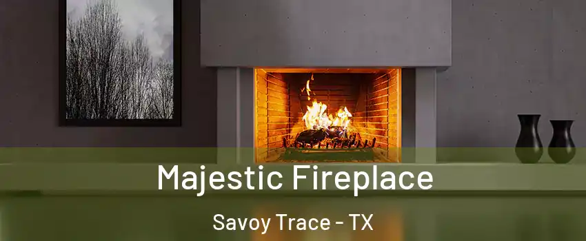 Majestic Fireplace Savoy Trace - TX