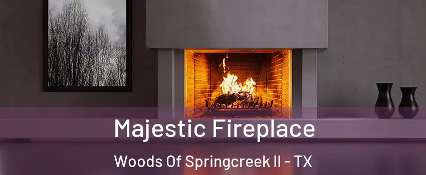 Majestic Fireplace Woods Of Springcreek II - TX