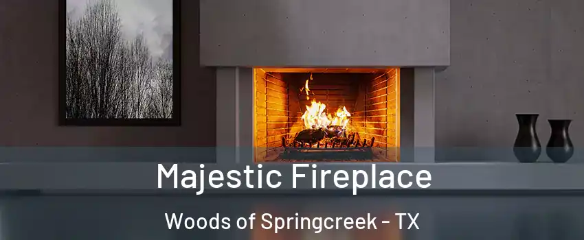 Majestic Fireplace Woods of Springcreek - TX