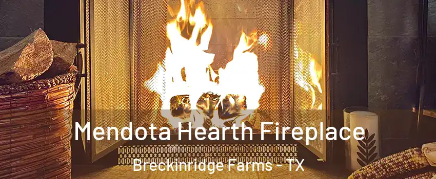 Mendota Hearth Fireplace Breckinridge Farms - TX