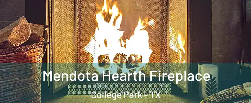 Mendota Hearth Fireplace College Park - TX