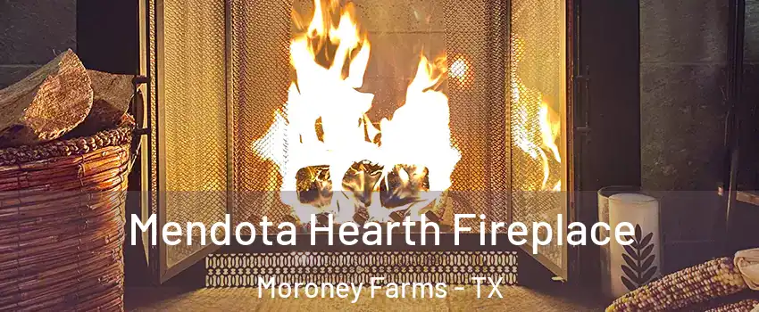 Mendota Hearth Fireplace Moroney Farms - TX