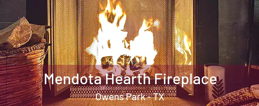 Mendota Hearth Fireplace Owens Park - TX