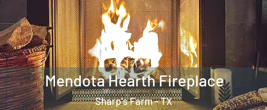 Mendota Hearth Fireplace Sharp's Farm - TX