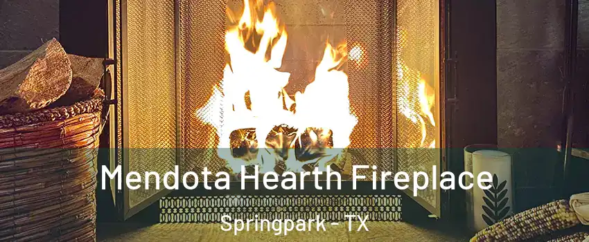 Mendota Hearth Fireplace Springpark - TX