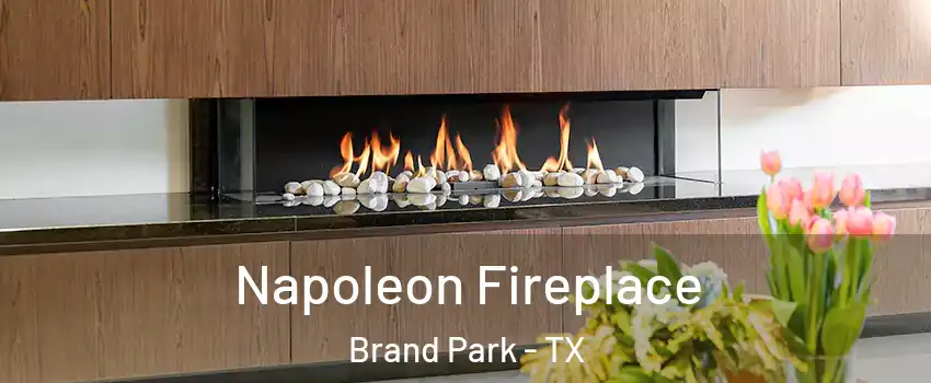 Napoleon Fireplace Brand Park - TX