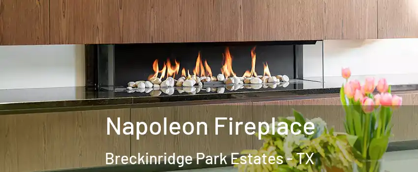 Napoleon Fireplace Breckinridge Park Estates - TX