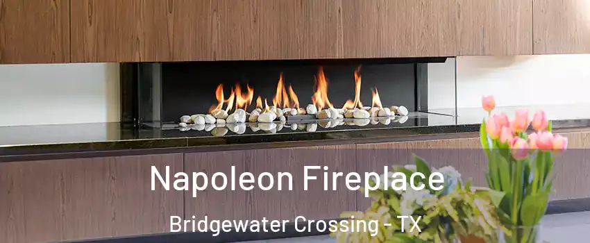 Napoleon Fireplace Bridgewater Crossing - TX