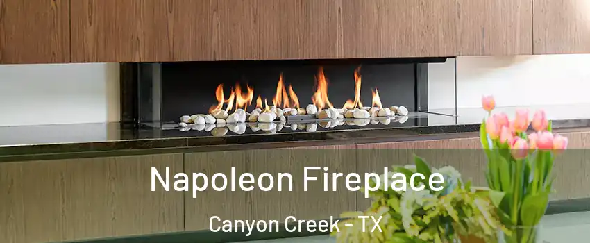 Napoleon Fireplace Canyon Creek - TX