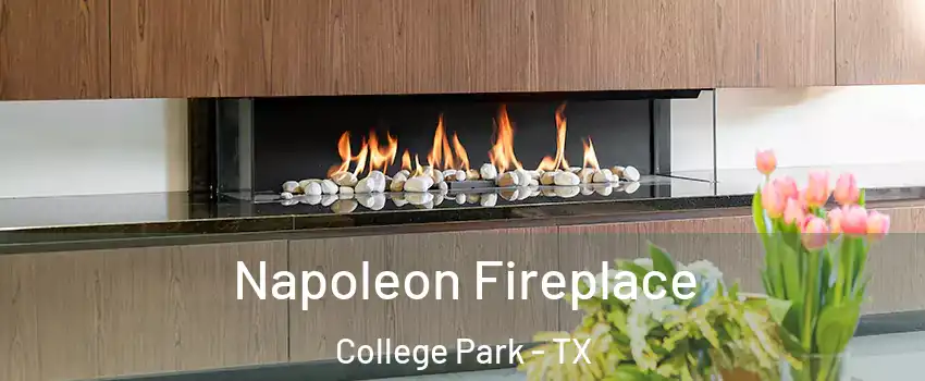 Napoleon Fireplace College Park - TX
