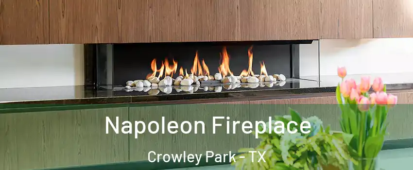 Napoleon Fireplace Crowley Park - TX