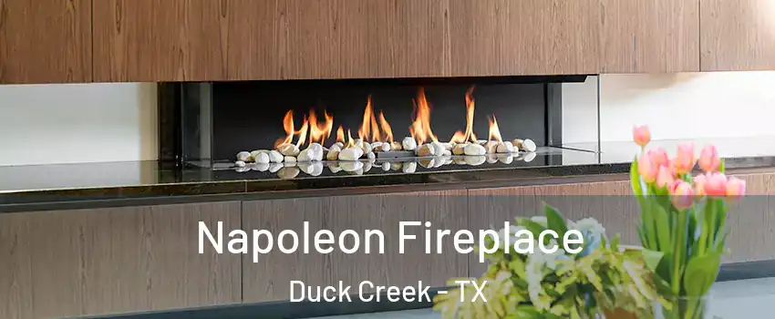 Napoleon Fireplace Duck Creek - TX