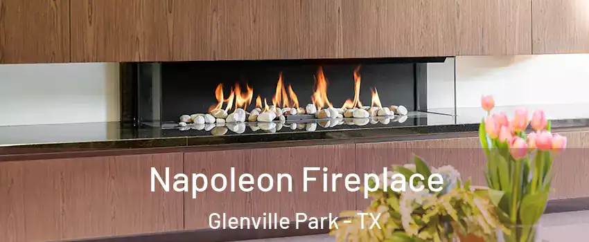 Napoleon Fireplace Glenville Park - TX
