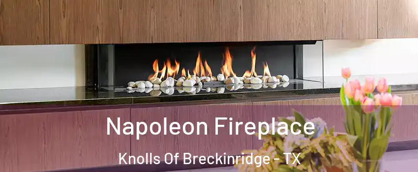 Napoleon Fireplace Knolls Of Breckinridge - TX