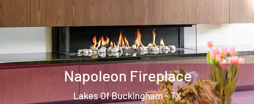 Napoleon Fireplace Lakes Of Buckingham - TX