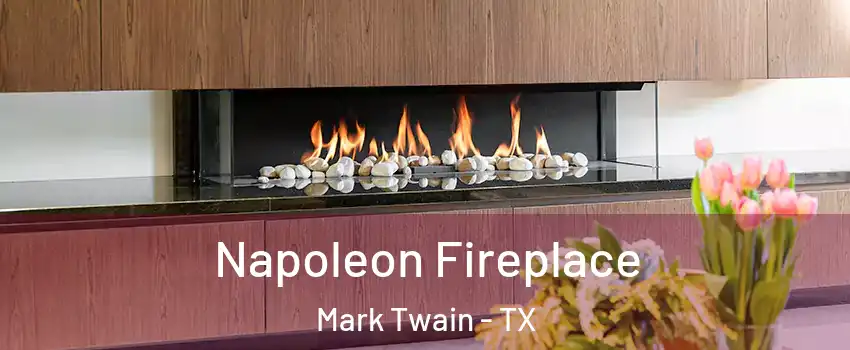 Napoleon Fireplace Mark Twain - TX