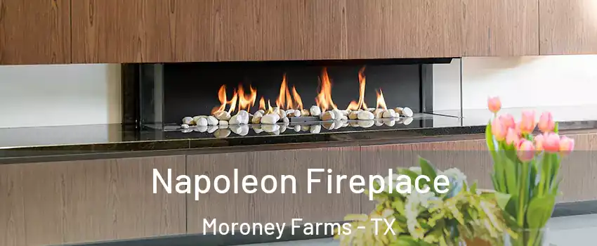 Napoleon Fireplace Moroney Farms - TX