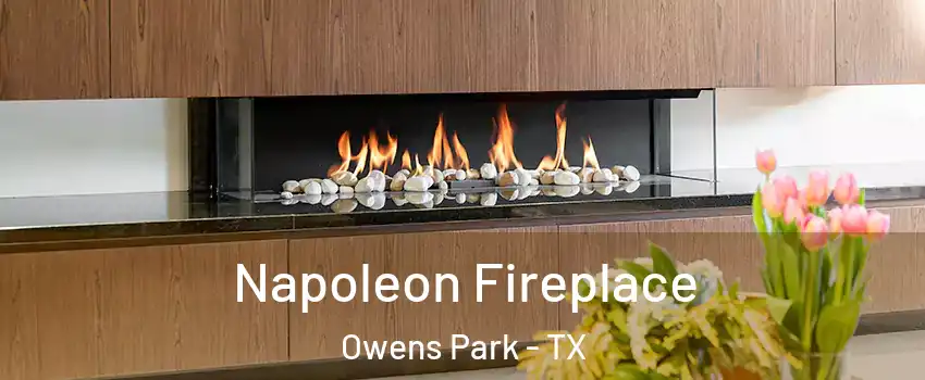 Napoleon Fireplace Owens Park - TX