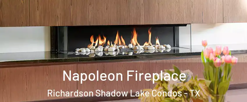 Napoleon Fireplace Richardson Shadow Lake Condos - TX