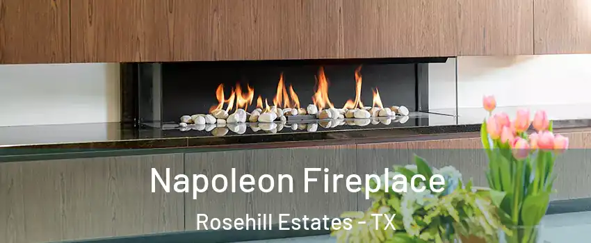 Napoleon Fireplace Rosehill Estates - TX