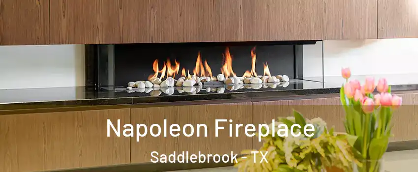 Napoleon Fireplace Saddlebrook - TX