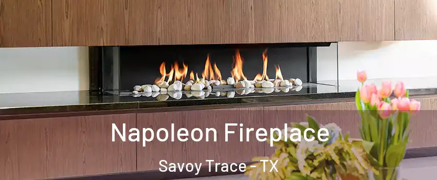 Napoleon Fireplace Savoy Trace - TX