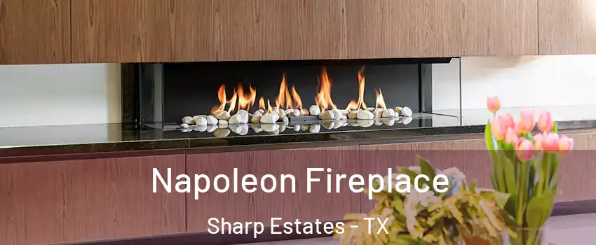 Napoleon Fireplace Sharp Estates - TX