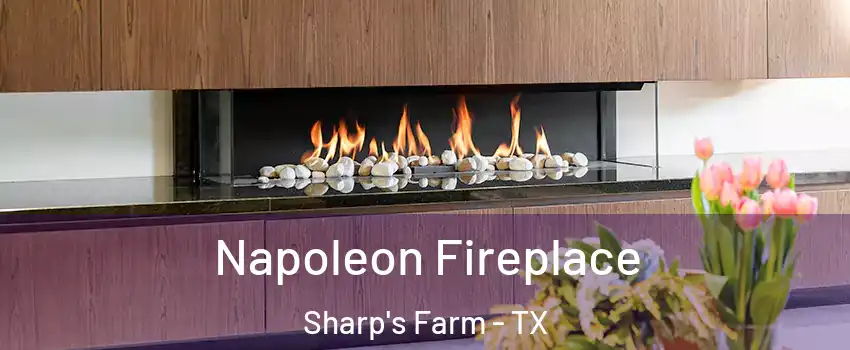 Napoleon Fireplace Sharp's Farm - TX